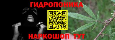 марихуана Кингисепп