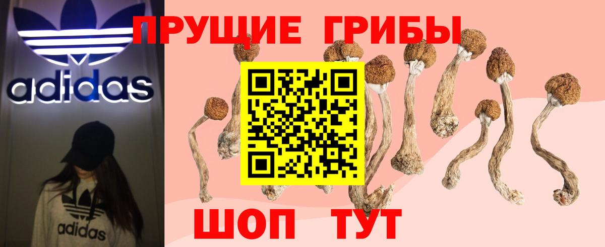 Галлюциногенные грибы Psilocybine cubensis  Псилоцибиновые грибы GOLDEN TEACHER  Вход с VPN  Крымск 